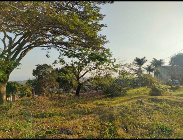 LAND FOR SALE IN BURLINGTON HEIGHTS